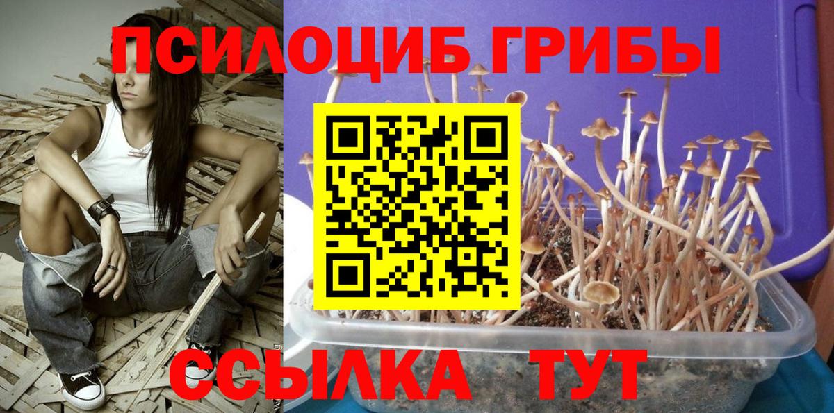 Галлюциногенные грибы мицелий Лянтор